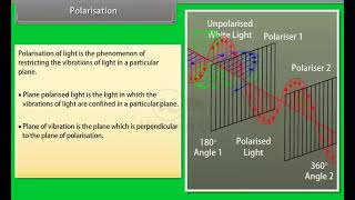 Ch 10 - Waves Optics | Polarisation