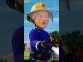 Can Fireman Sam Stop The Forest Fire