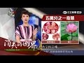 20170325【消失的國界完整版】「蓮花剛玉」比鑽石還貴　一夕致富全靠它！｜李天怡主持｜三立新聞台