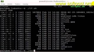 How to execute a file in CentOS