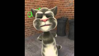 Talking Tom Farts