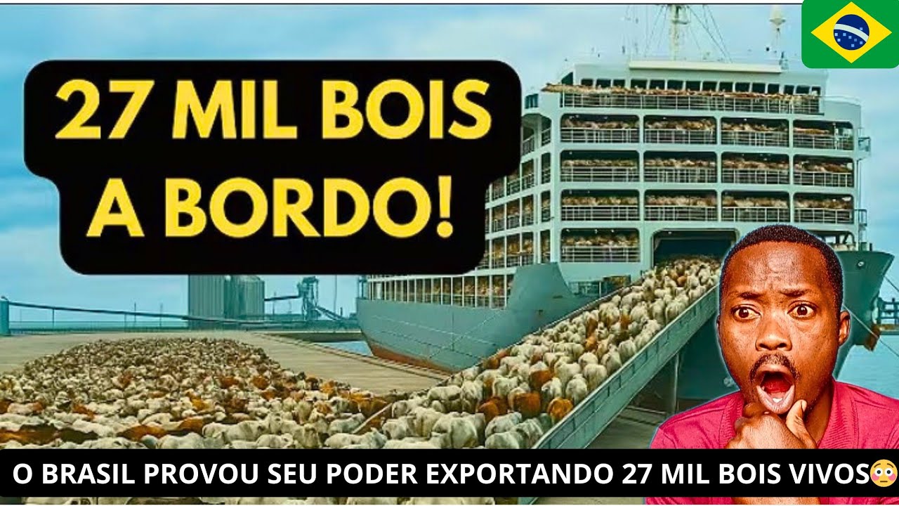 Africano Reage O MAIOR TRANSPORTE DE GADO DA HISTÓRIA DO BRASIL 🇧🇷. #brasil #gado