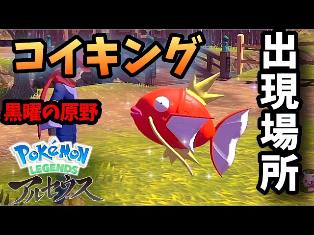 序盤でコイキングをGETしたい！【ポケモンアルセウス 黒曜の原野 編