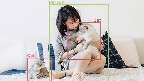 YOLOv8 Object Detection on Jetson Nano | Real-Time AI Demonstration