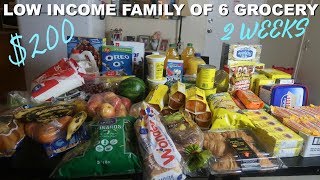 $200 2weeks grocery haul 2019| Family of 6| low income budget |