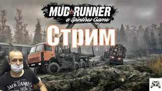 MUDRUNNER начинаем проходить гряземес  ламповый стрим  18+ советую посмотреть.