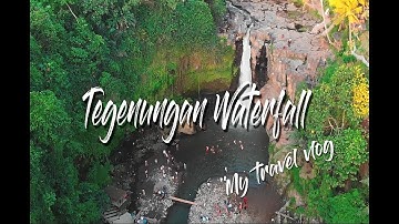 Small Trip to Tegenungan Waterfall ||| Bali Vlog |||