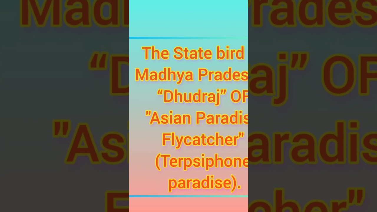 NCL GK।MP GK । State Bird of MP.....