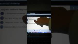 Yazılıya Hazırlık Soruları 7.Sinif