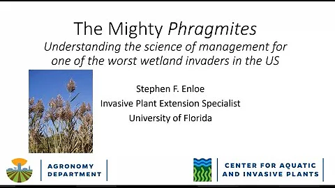 Phragmites: Understanding the science of management for one of the worst wetland invaders in the US