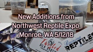 New Additions from Northwest Reptile Expo @TarantulaswithShanti