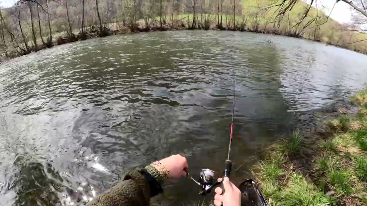 Momentka zo pstruhovky