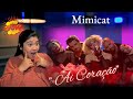 Capture de la vidéo Mimicat - Ai Coração | Portugal Eurovision 2023 / Iconic | Revamp Reaction #Mimicat