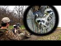 Day time raccoon hunting with 25 air rifle scope cam