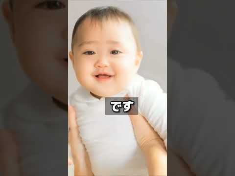 相続する順位を解説 #司法書士 #相続