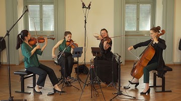 M. Ravel String Quartet in F Major, I. Allegro moderato - très doux - Moser String Quartet