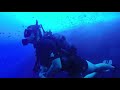 Malta scuba diving  gozo inland sea and the blue hole