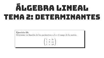 ejercicio 09 rango de una matriz con parametros usando determinantes algebra lineal tema 2 determina