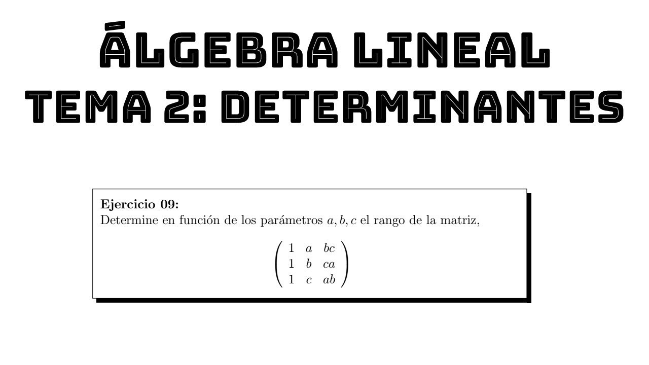 ejercicio 09 rango de una matriz con parametros usando determinantes algebra lineal tema 2 determina matrices multiplication