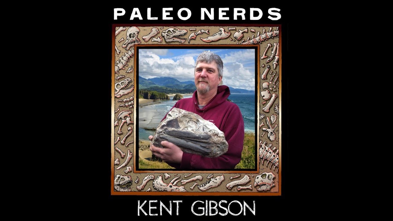 Kent Gibson's Coastal Fossil Collection