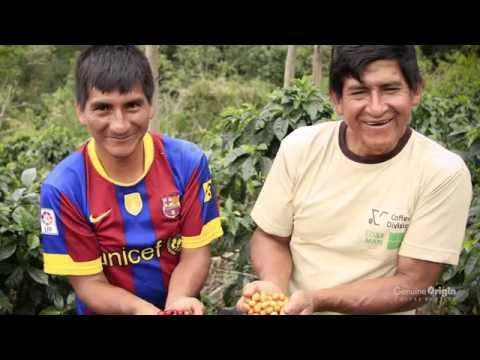 The Genuine Origin Coffee Project | Peru
