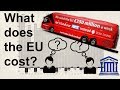 How much do you pay for the EU?