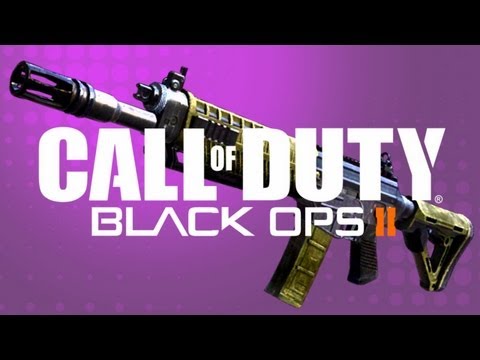 BO2: The Amazing SWAT 556! (New and Improved)