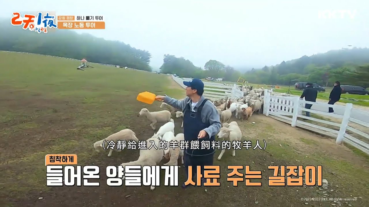 #延政勳 熱情模式ON！牧場主人初體驗 -《兩天一夜》EP125 精彩片段｜KKTV 線上看