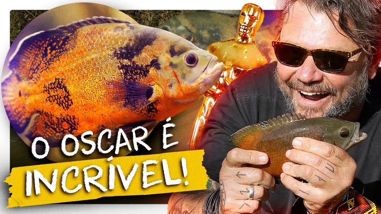 OSCAR, O PEIXE QUE GOSTA DE CARINHO! | RICHARD RASMUSSEN