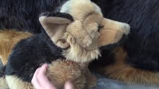 Douglas “Major” the German Shepherd Unboxing ❤️