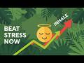 Don’t Meditate. Do THIS Pattern Instead.