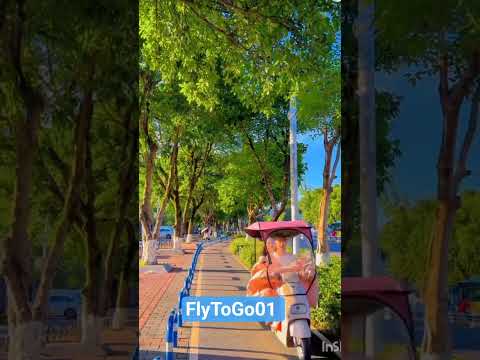 Beautiful China#china#travel#viral  #flytogo#viralvideos#viralshort🇨🇳 #flytogo#study#shorts#ningxia