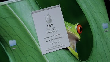 How to Find Your Macs Serial Number | Mac Basics