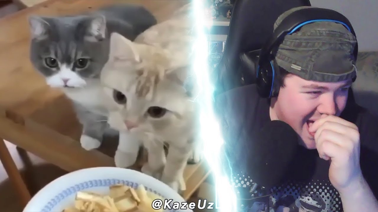 Was Tiere So Denken MEGA 1 | REAKTION