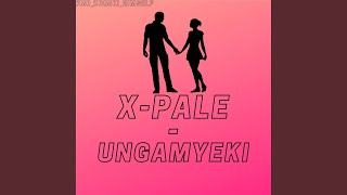 Ungamyeki