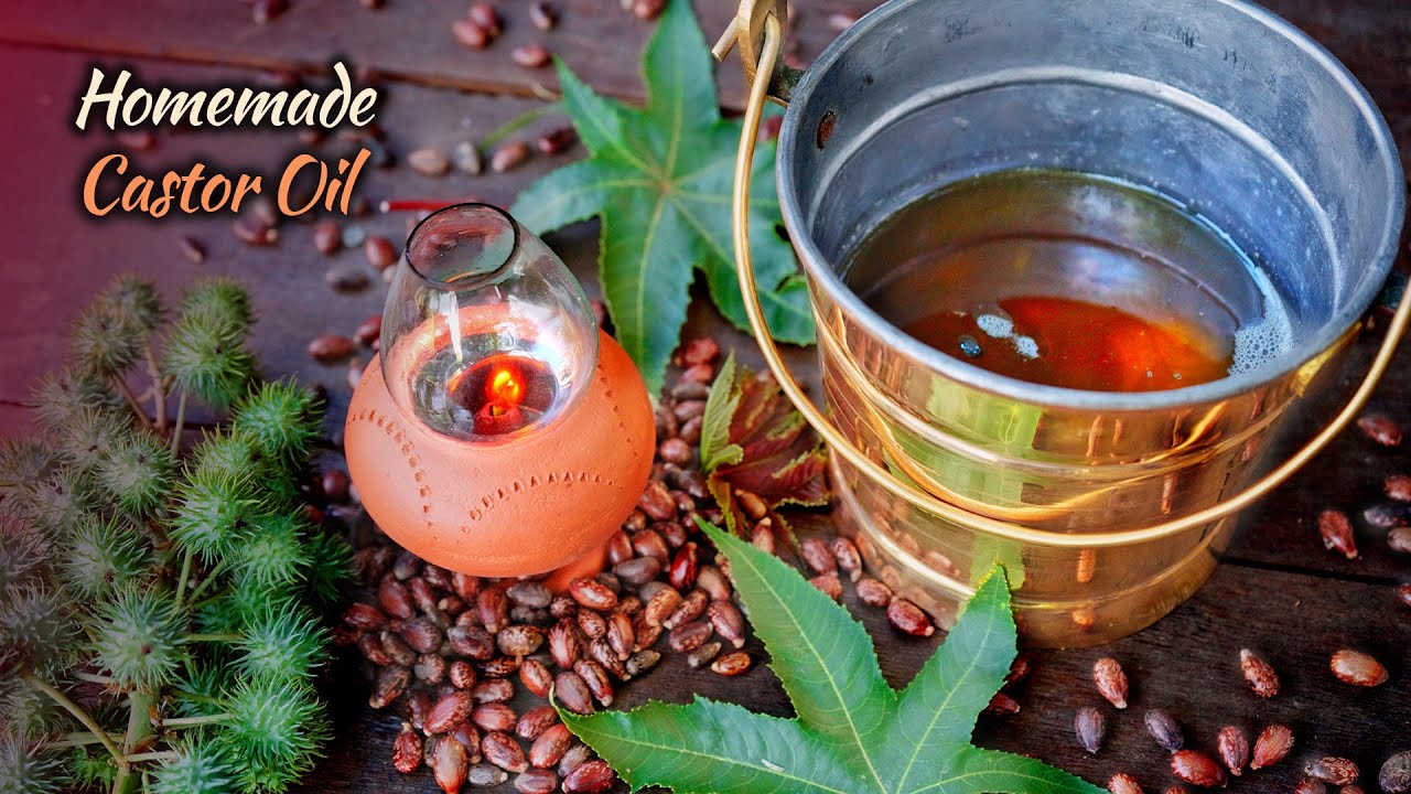 🪔How to Make Pure Castor Oil 🪔 at Home | Traditional Indian Way