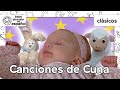 Sonidos Relajantes Para Bebés Clásicos De Baby Einstein BabyEinsteinenEspanol 