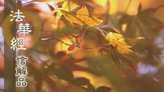【靜思妙蓮華】法華經信解品 - 實諦理觀 六度萬行 - 20210323 第736集
