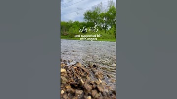 القارئ عبد الرحمن مسعد _{ لا تحزن إنّ الله معنا, لا تحزن إنّ الله معنا} سورة التوبة ❤️♥️