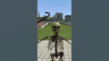 The Most Ramdom Video You Will Ever See #gmod #funny #ramdom #popular