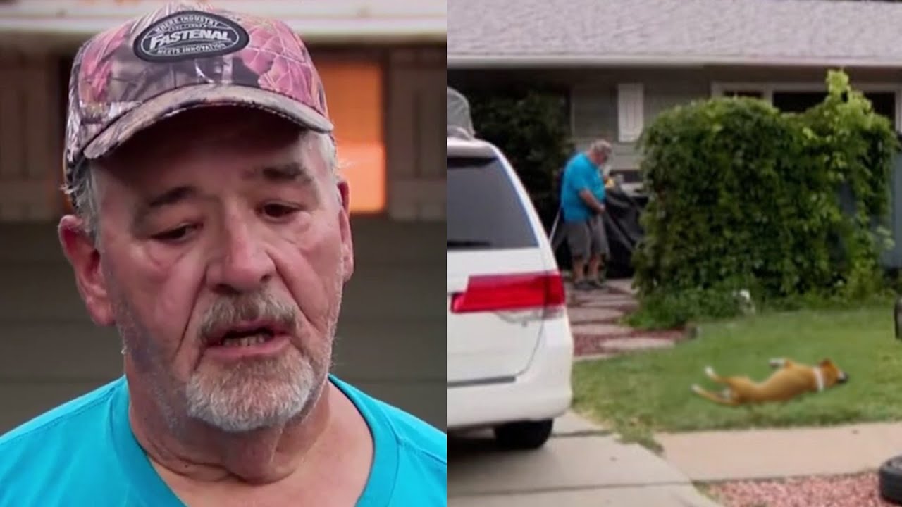 Homeowner shot 2 Pit Bulls in self-defense