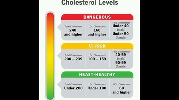 What is your Cholesterol Levels?
