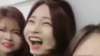 Twice Funny Moments to Get Better Day by Day