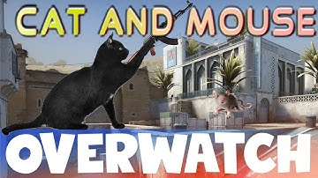 A Game of Cat and Mouse! CS:GO OVERWATCH