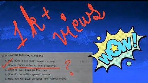 Dav Class -4 Science Ch-6 Insects (Long and Short Question Answers) Part -4