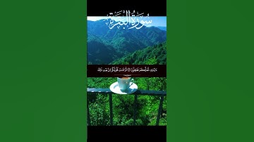 تلاوة من سورة البقرة #explore #explorepage #اكسبلور #المصحف