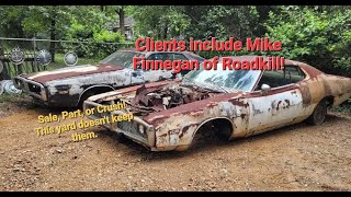 Exploring East Texas Junkyard Full of Cheap Project Cars!