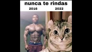 Shitpost Compilation V1 | Shitpost en inglés y español 🧐🍷