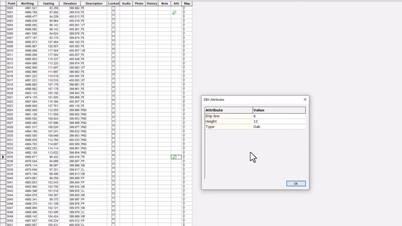SurveyTools for BricsCAD - Import and automate The Drafting Process With Seamless Integration