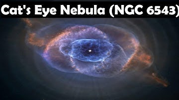 Data Sonification: Cat